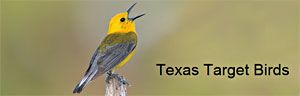 Texas Target Birds logo
