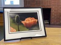 Anne Pauline’s Poppy