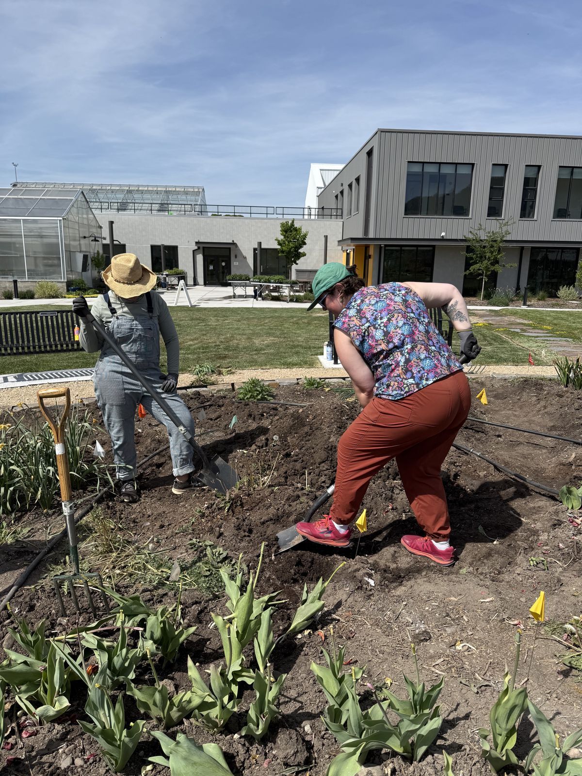 In 2026, Beautiful Blooms was redesigned to incorporate pathways throughout the growing space.