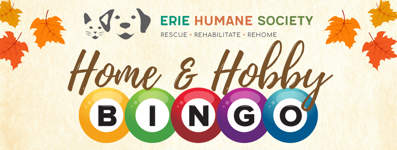 Home and Hobby Bingo Image
