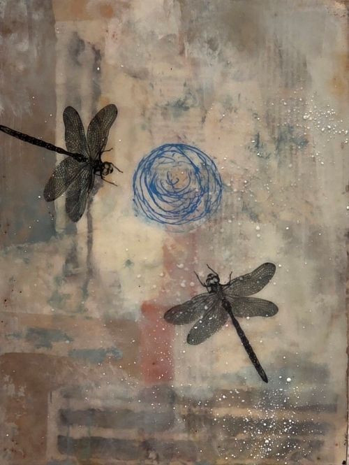 Search for Water - Laurel Kvale