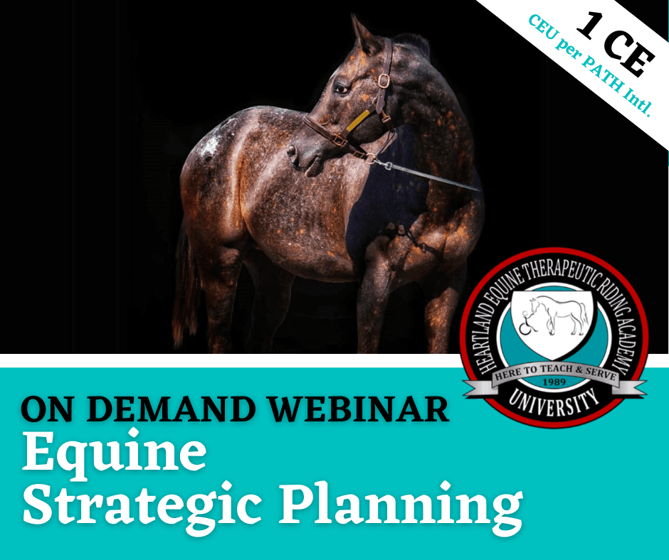 Equine Strategic Planning