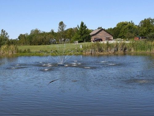 Lots to see, learn at Gwynne Conservation Area: Farm Science Review 2021