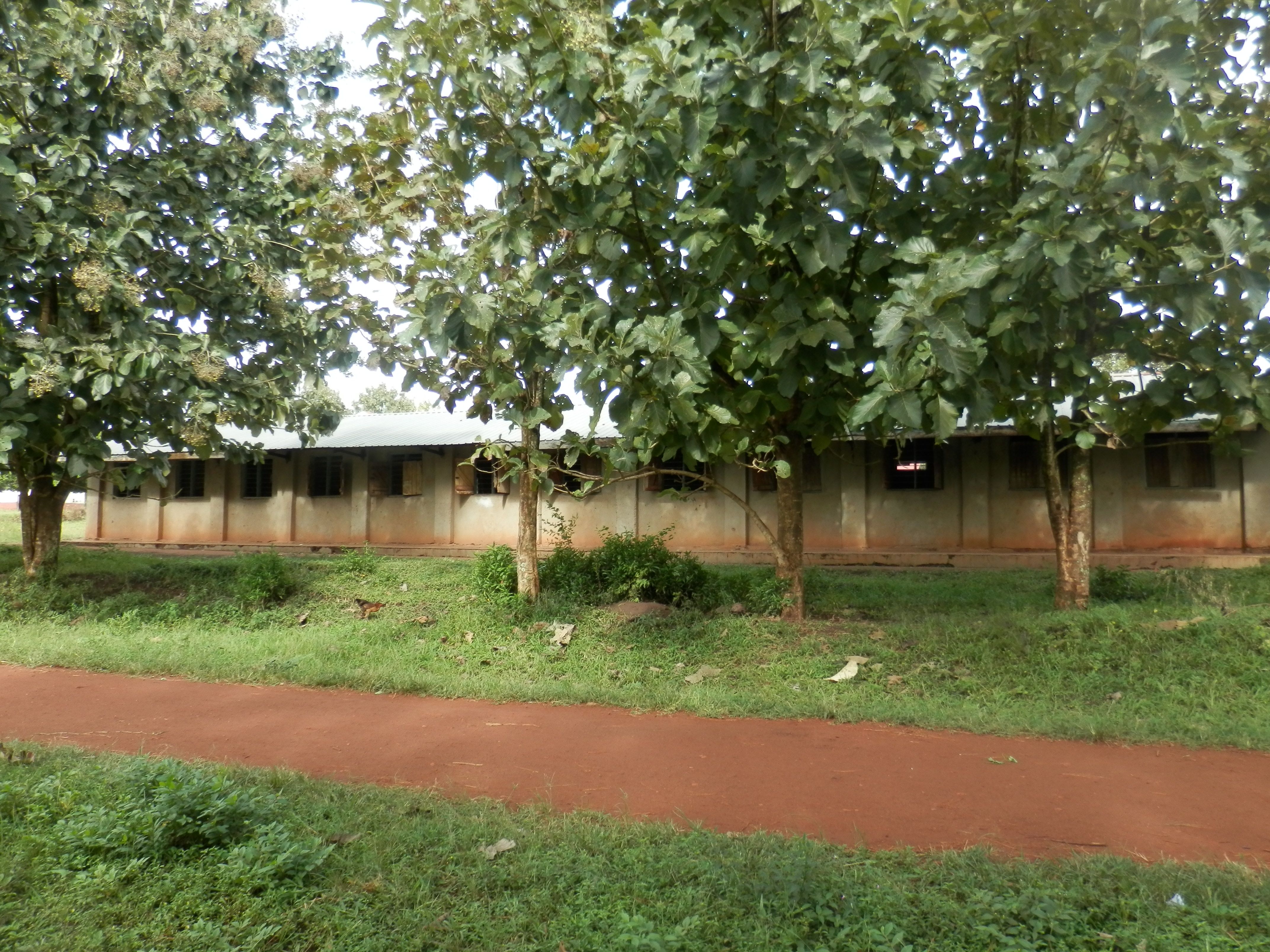 PA282232.JPG