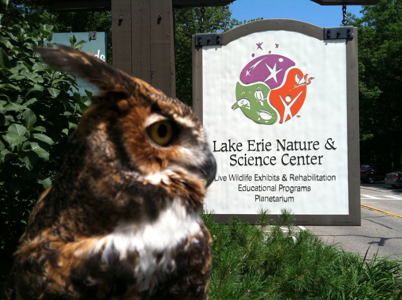 Join us for Planetarium & Animal Program Family Social Event | Lake Erie Nature and Science Center. Adoption Network Cleveland will provide the tickets and families can provide cheers.