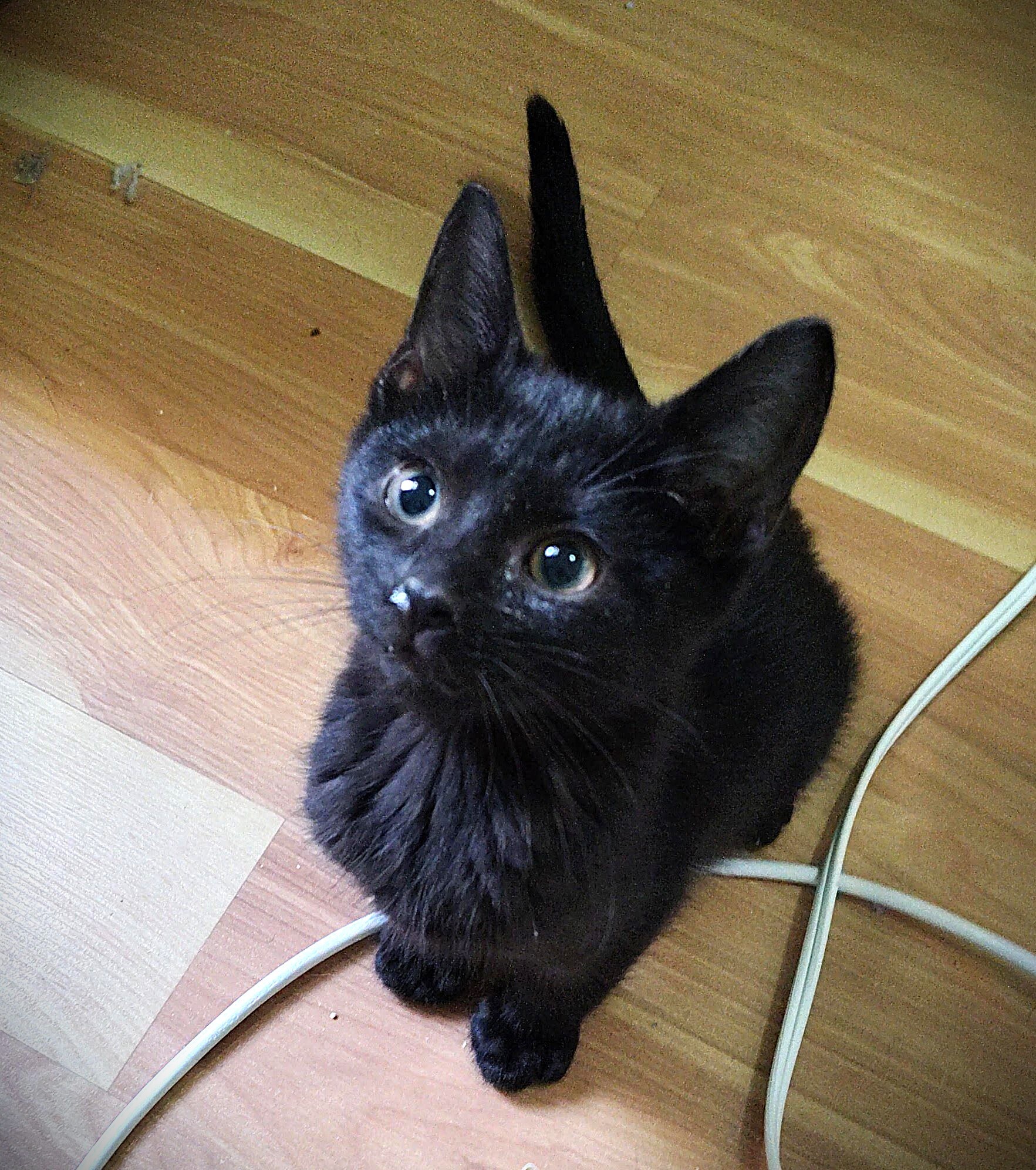 Max