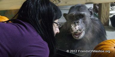 Lisa interacts with Dar