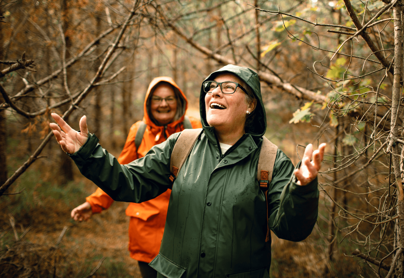 Home Connections Area Agency on Aging