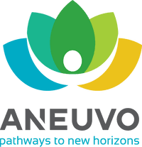 Aneuvo