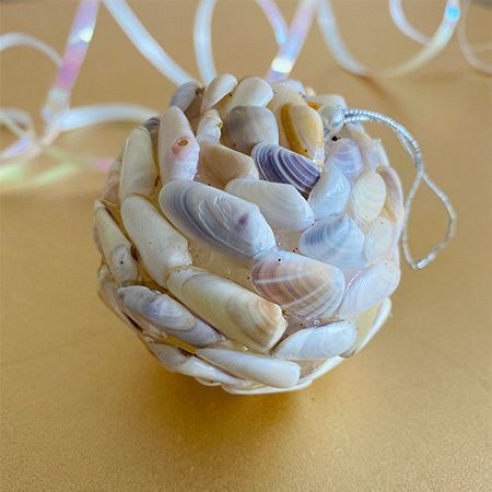 Cards and Crafts : Shell Art and Craft- Altered Project