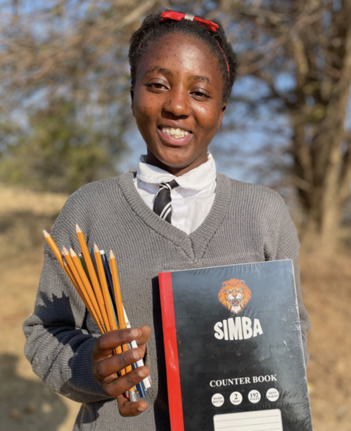 SCHOOL SUPPLIES TO HELP A STUDENT LEARN