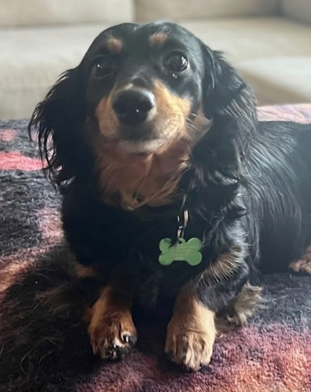 Riley