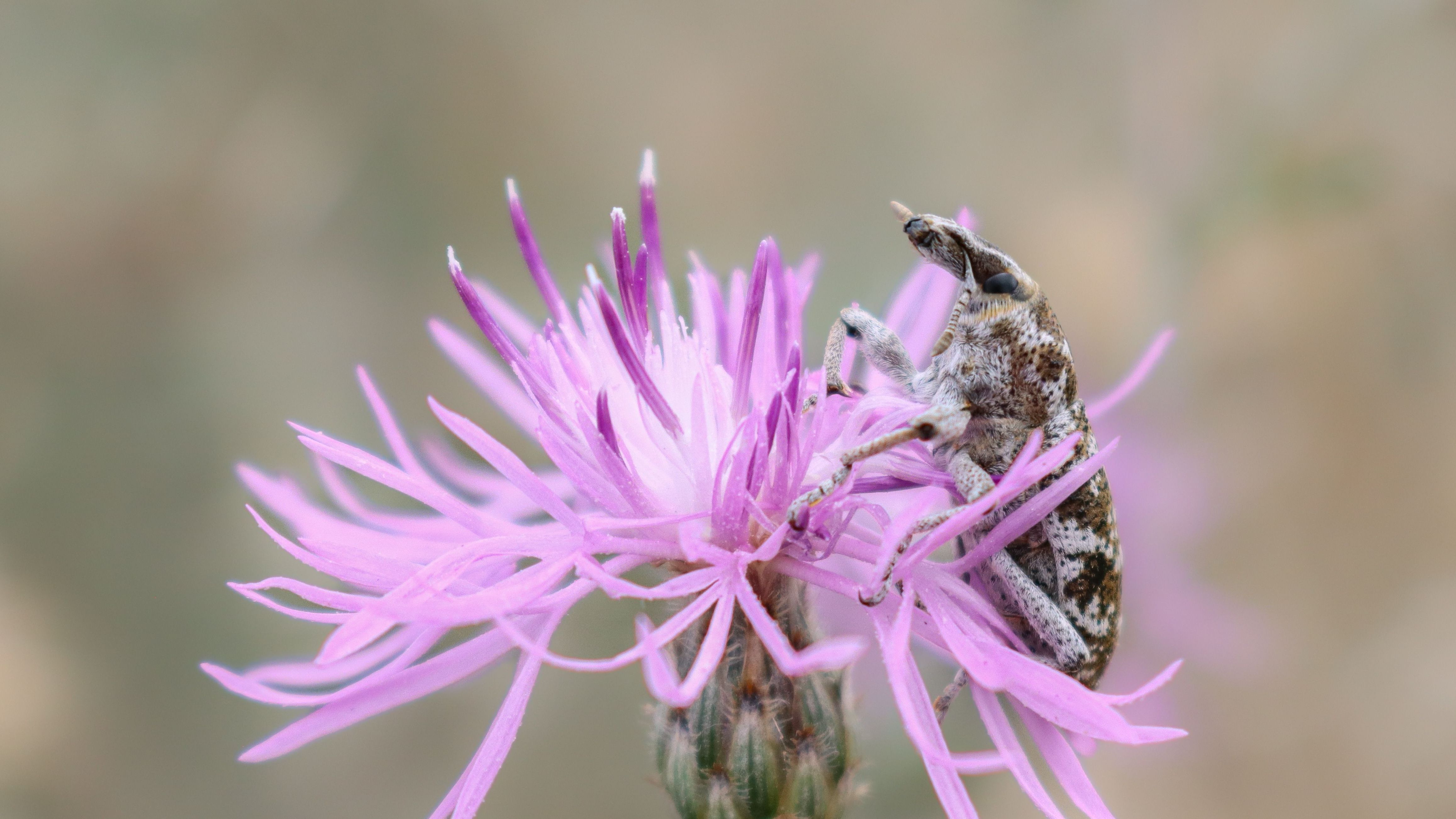 2024 Program Assessment