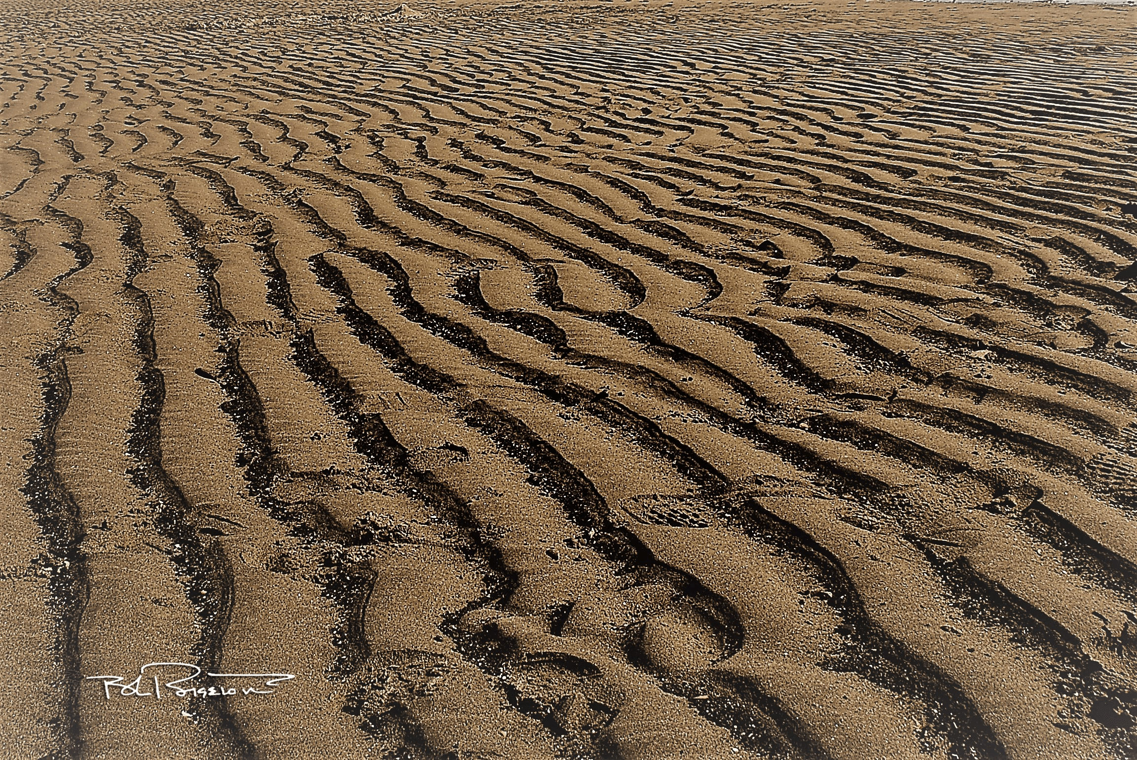 Sand Wave #2