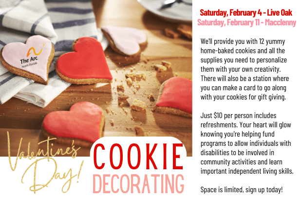 Valentine Cookie Decorating Party