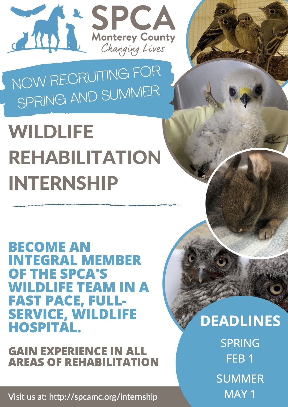 Wildlife Center Internship