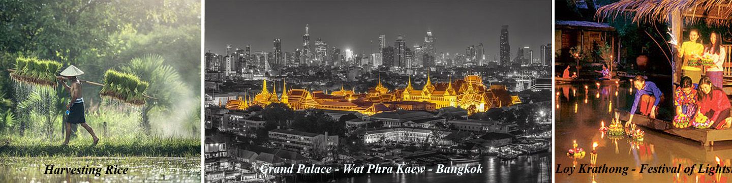 Thailand Harvesting Rice, Grand Palace in Bangkok, Festival of Lights