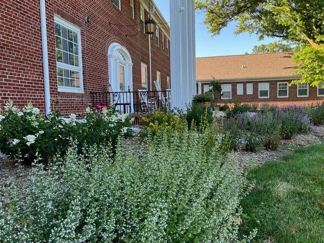 A landscape of white, yellow and purple perennial flowers outside an assisted living facility in Omaha. 