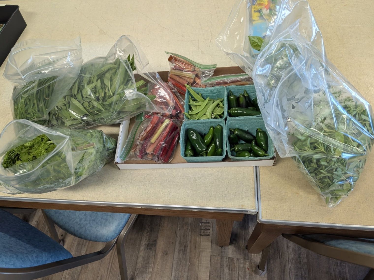 First Produce Donations of the Season!!