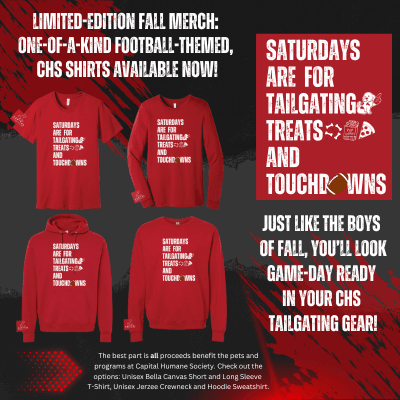 Merch - Aug