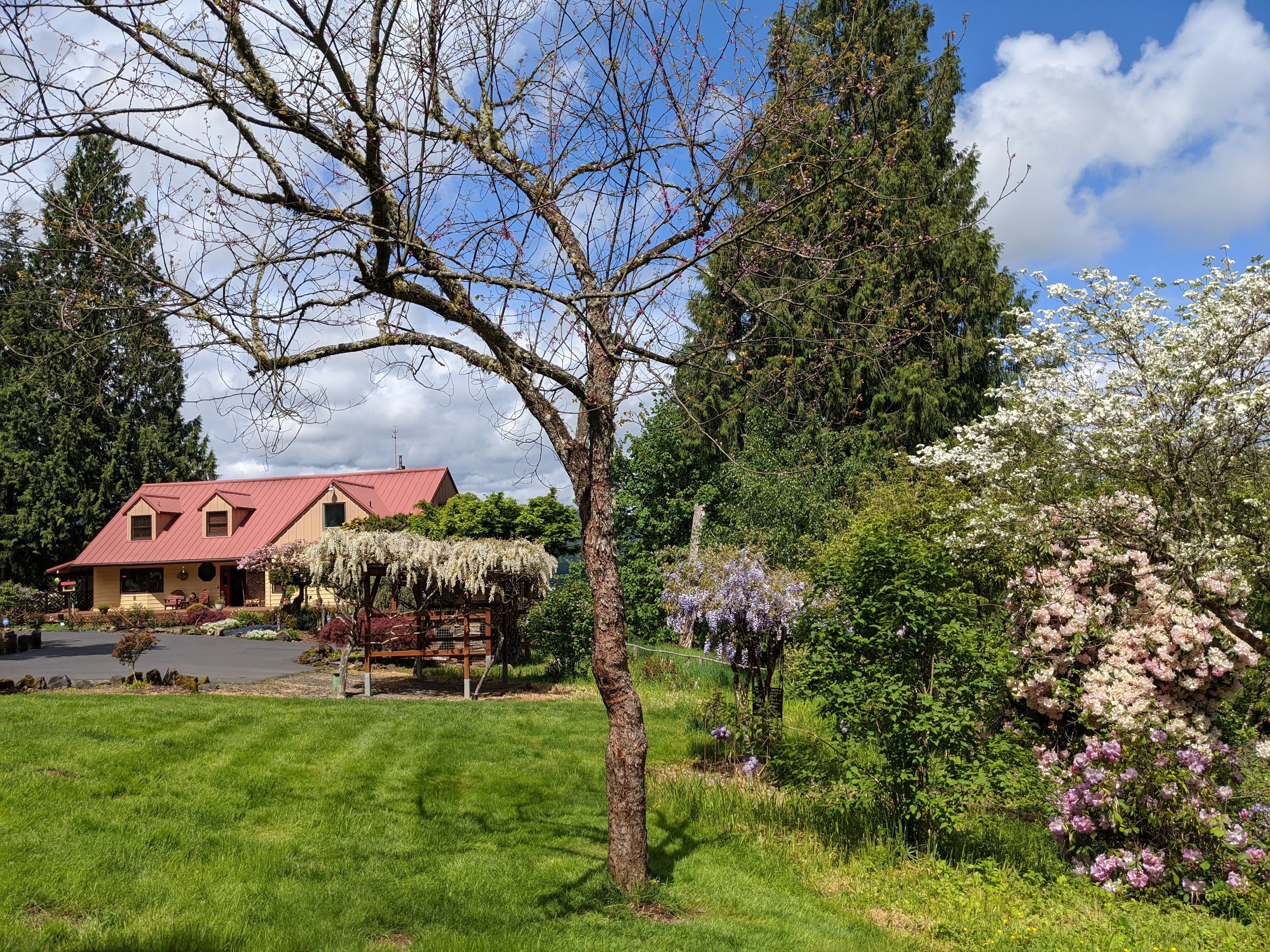 Stay at MapleRidge House