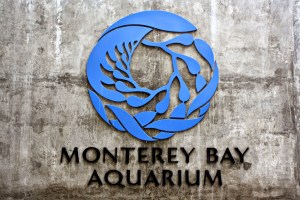 FREE Monterey Bay Aquarium Tickets