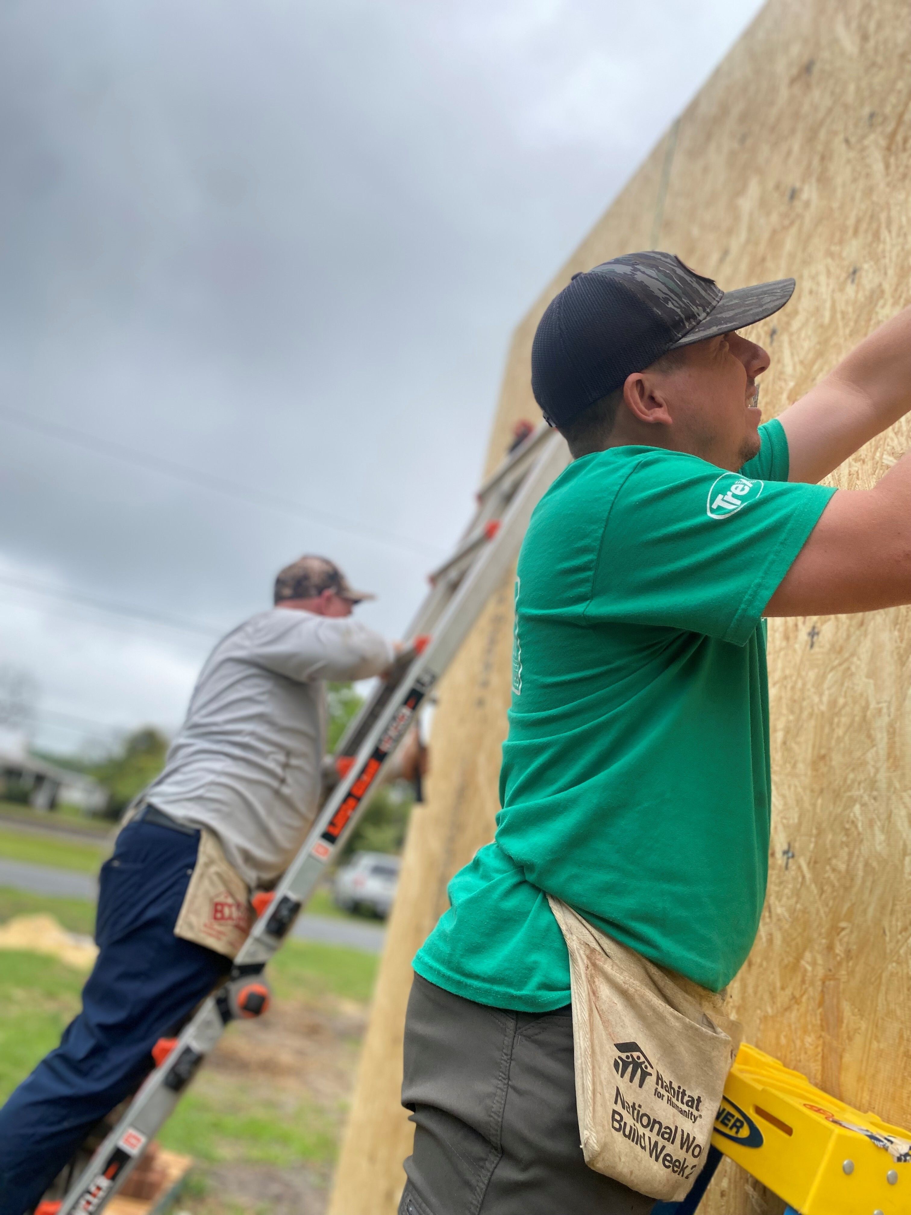 volunteers sheath walls