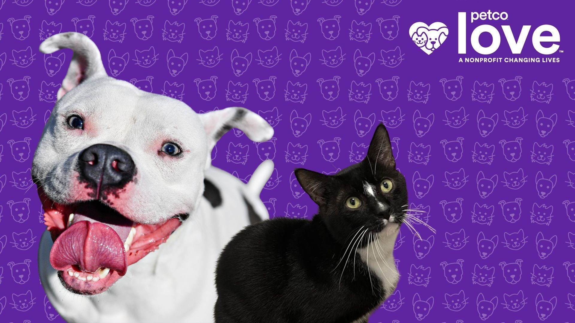 National Nonprofit Petco Love Invests in York County SPCA To Save and Improve the Lives of Pets in York County, Pennsylvania