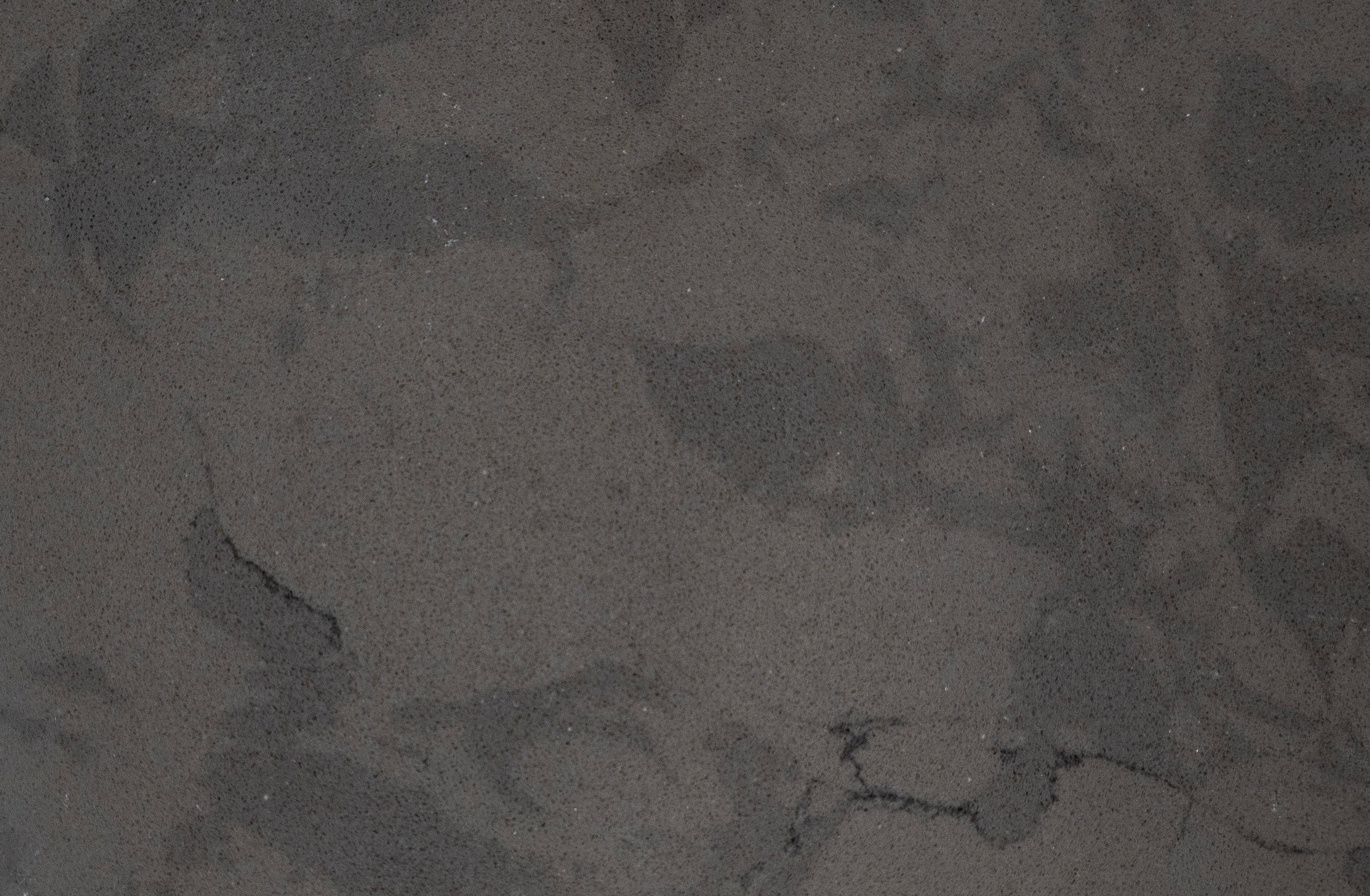 Carrara Gray