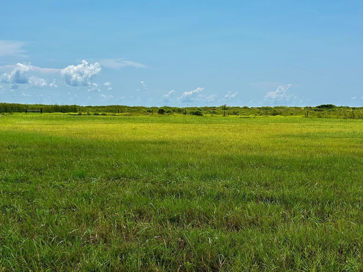 Protect Bolivar Flats