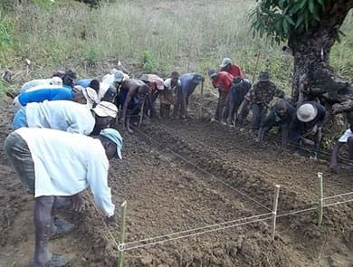 Farmers prepare a seed bed at the tree nursery in the La Source chapel area.