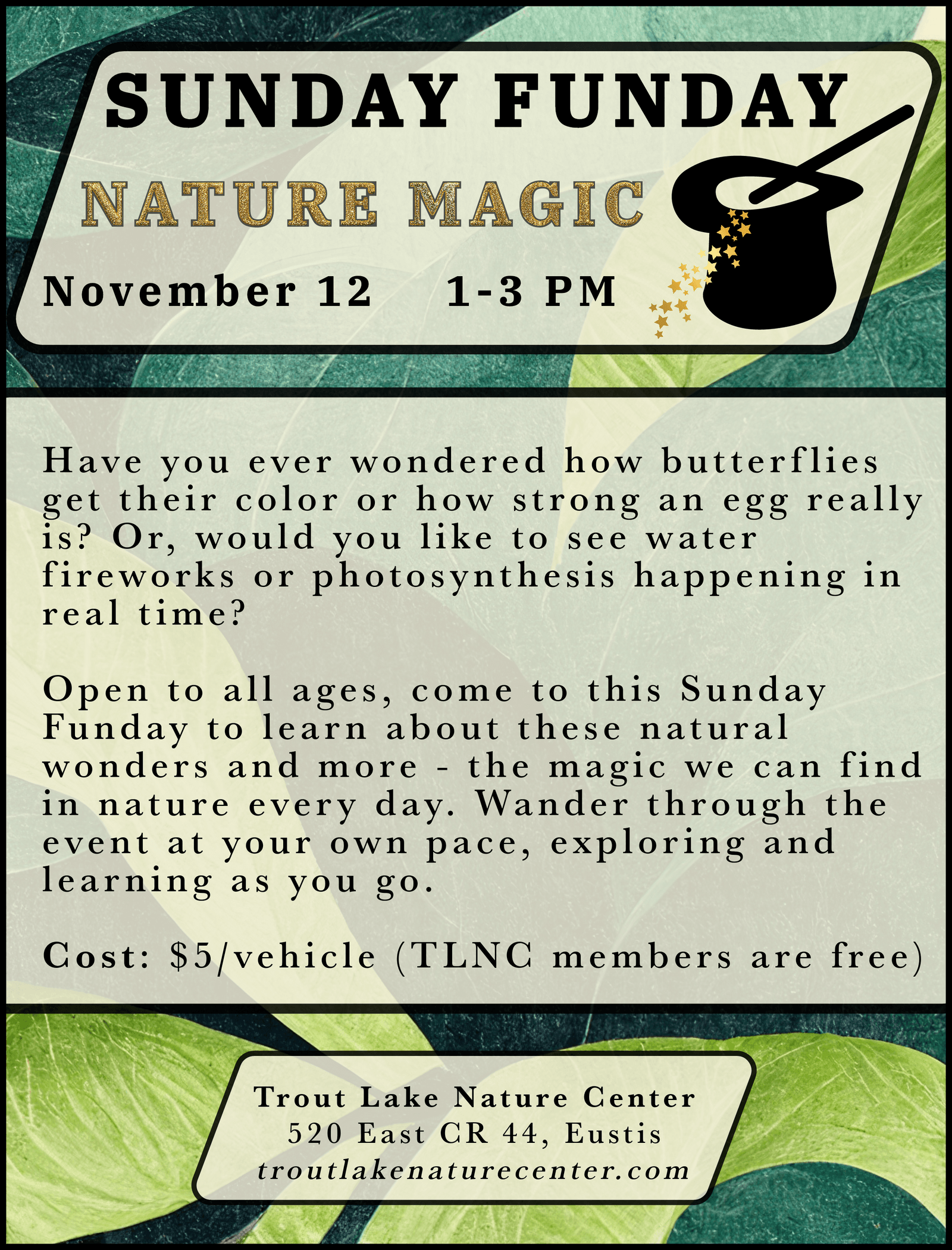 Sunday Funday Nature Magic Event Calendar News & Events Trout