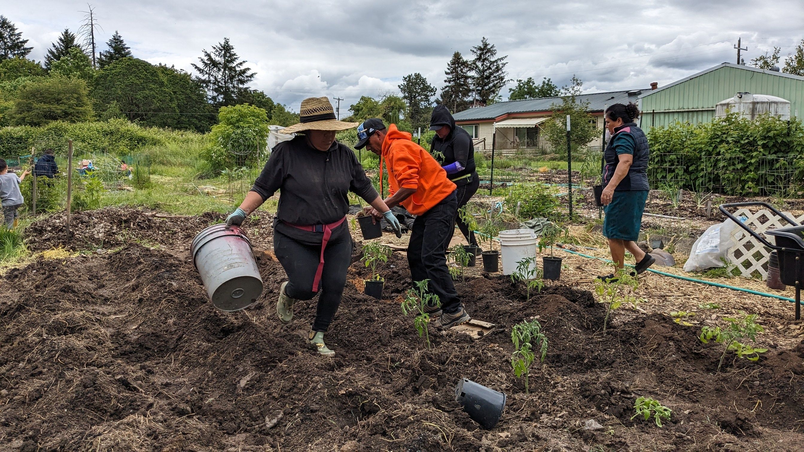 Sunlit Mountain Range