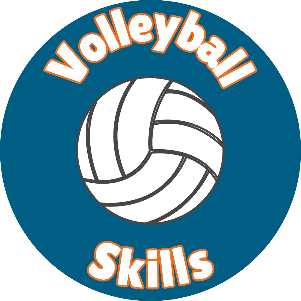 Volleyball Skills & Play