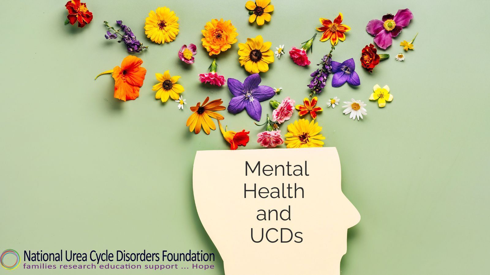 Mental Health and UCDs: A Mindful Approach