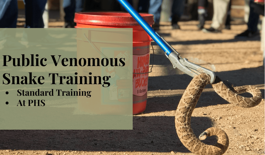 Venomous Snake Handling - Tim's Reptiles