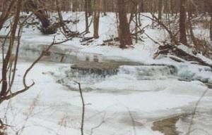 Daily Prayer January 9