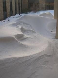 Daily Prayer February 12