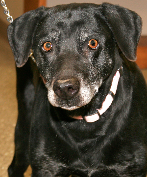 TABITHA
