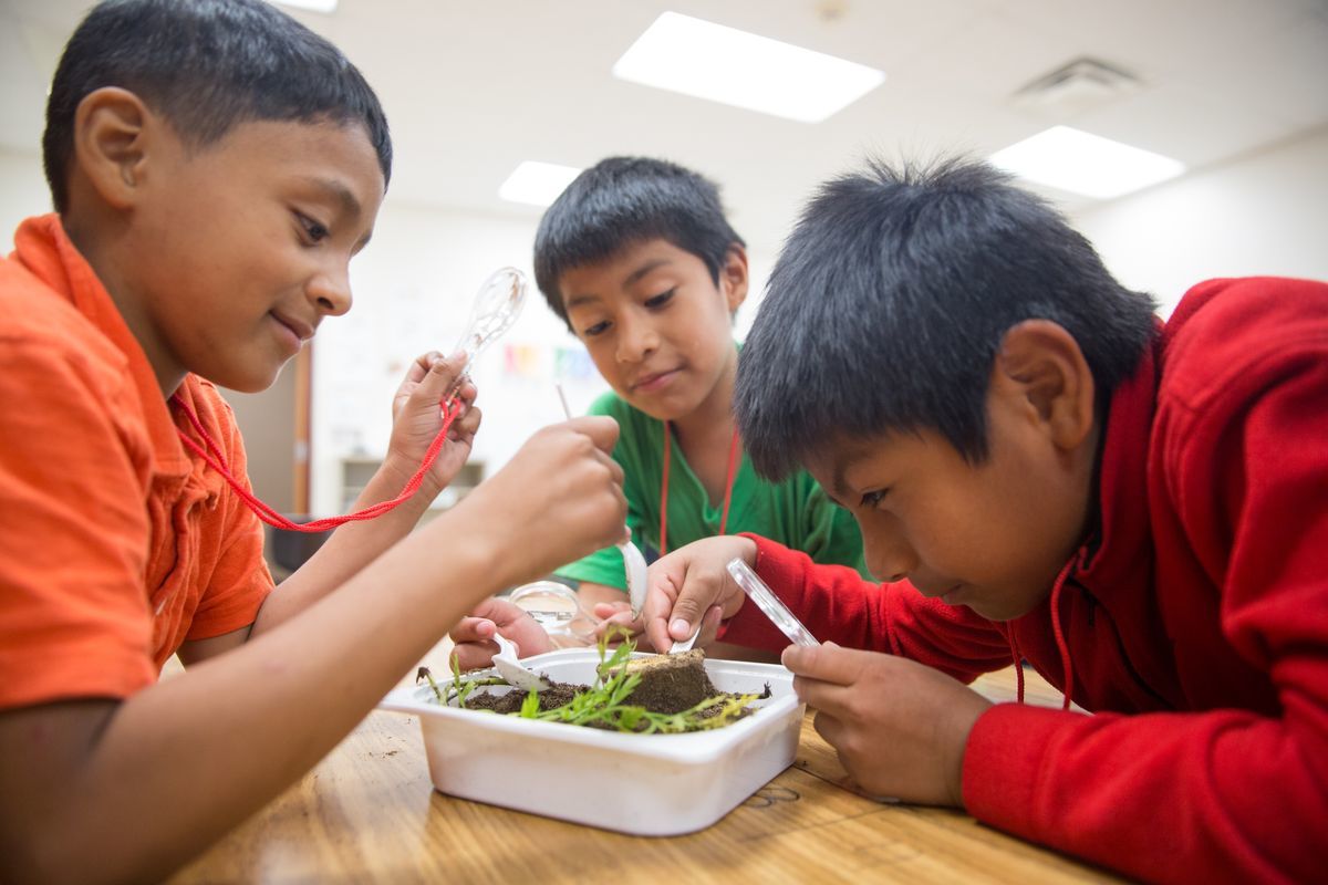 Environmental Education Programs for Classrooms & Groups Keep Omaha
