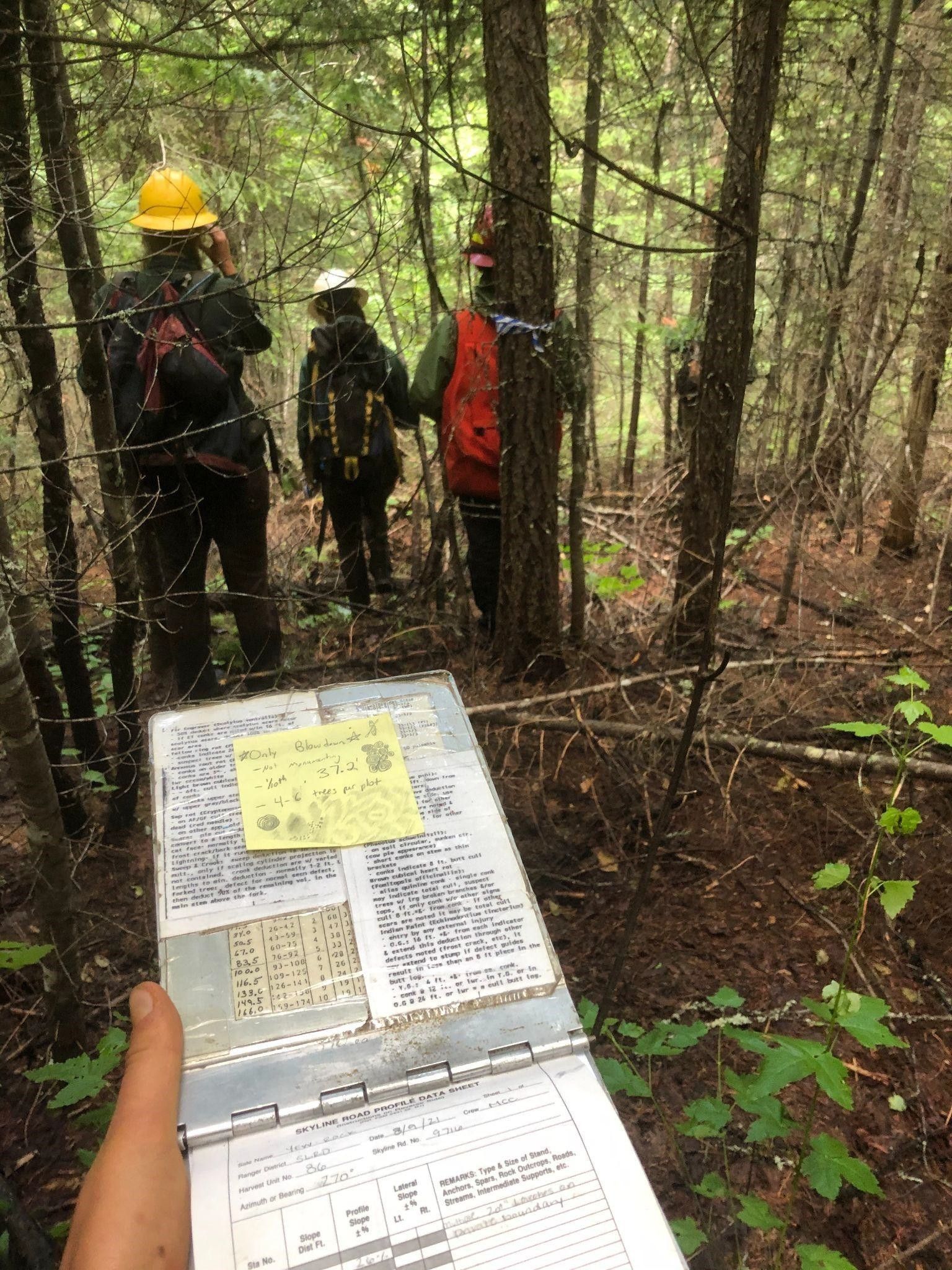 A crew member shows their booklet that they use to survey trees