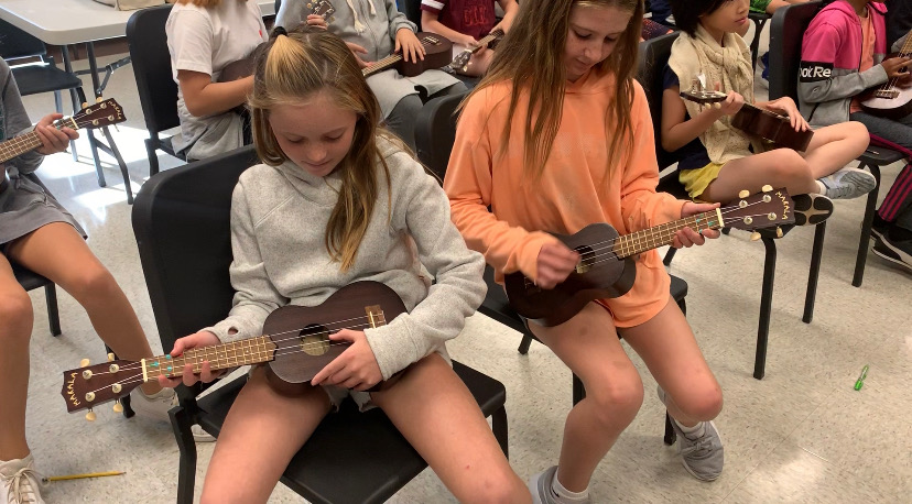 Foundation Awards $2,500 for Ukuleles at Skyview
