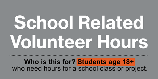 community service 18+