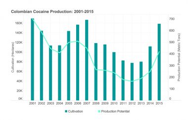 Coca Cultivation Makes a Comeback in Colombia