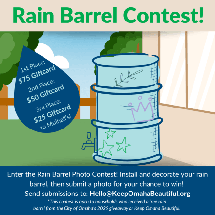 Contest