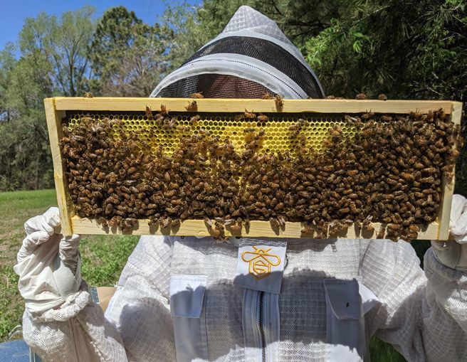 E's Bees Business Growing With Help From Local Grant Program