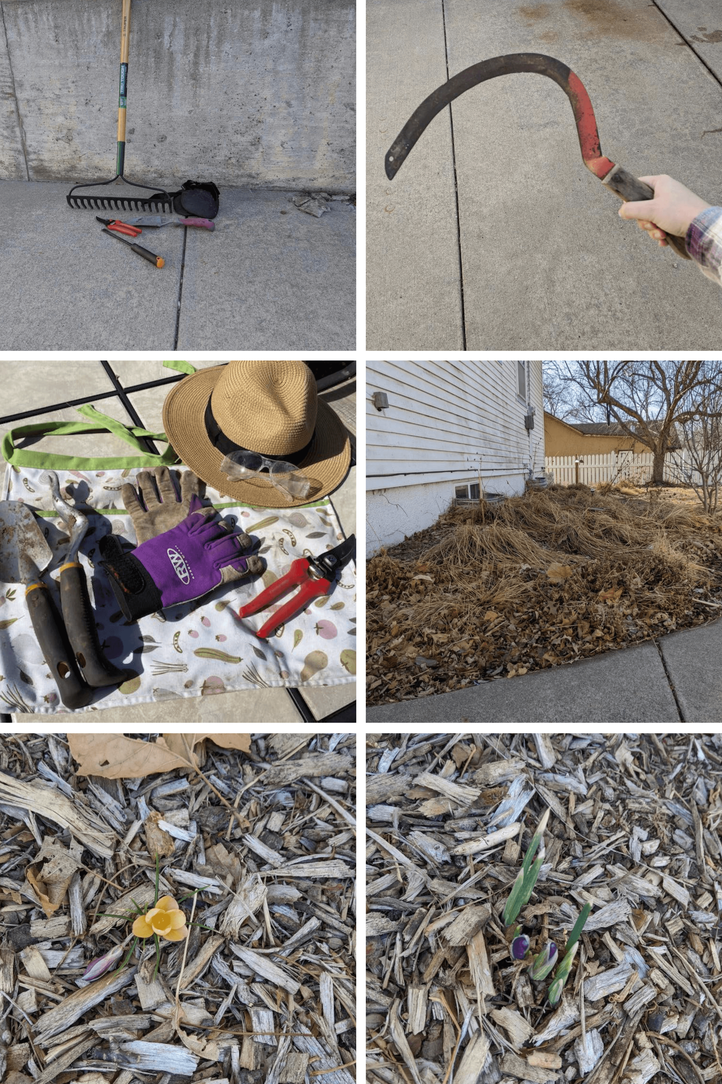 Sarah’s spring cleanup tools: rake, trowel, weed digger, pruners and painters knee pads. Hanna’s favorite tools include her apron, hat, eye protection, gloves, pruners a trowel and weed digger. Sarah's garden in early spring and first blooms.