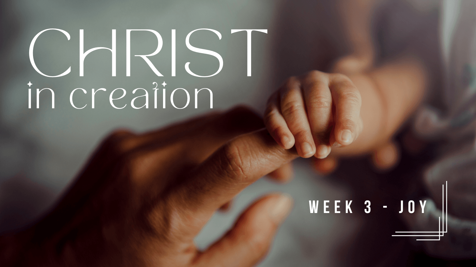 Christ in Creation Week Three: Joy