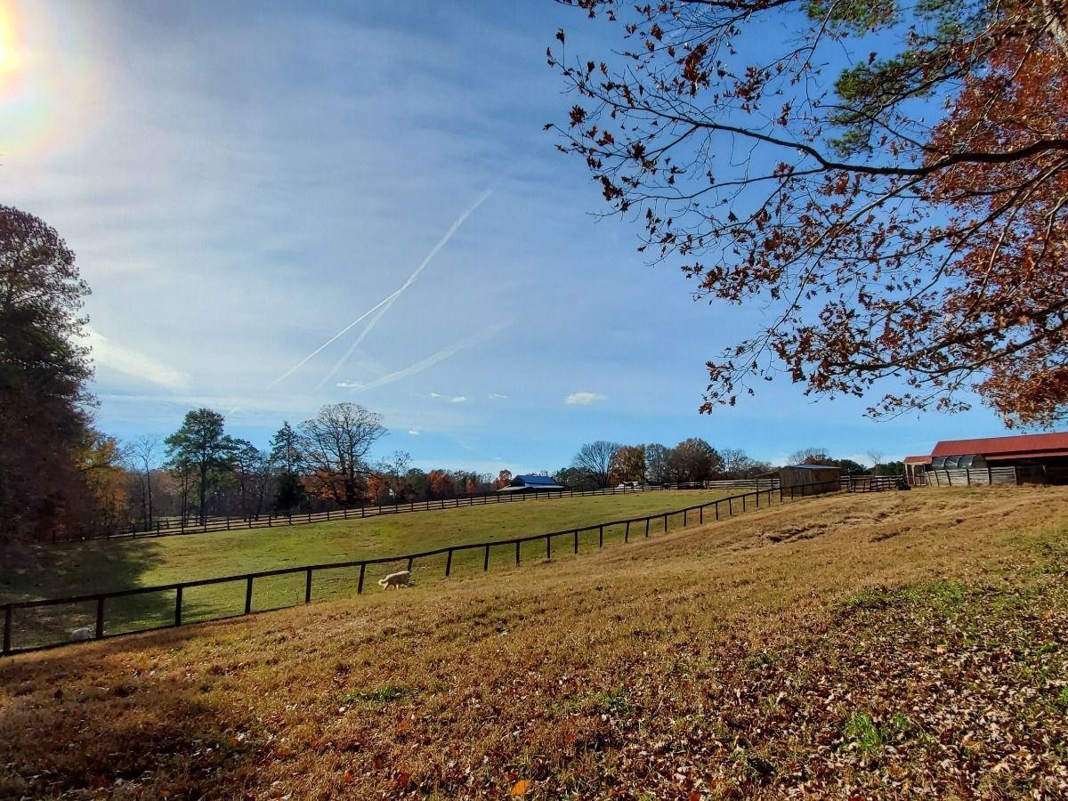 What made this one so special?