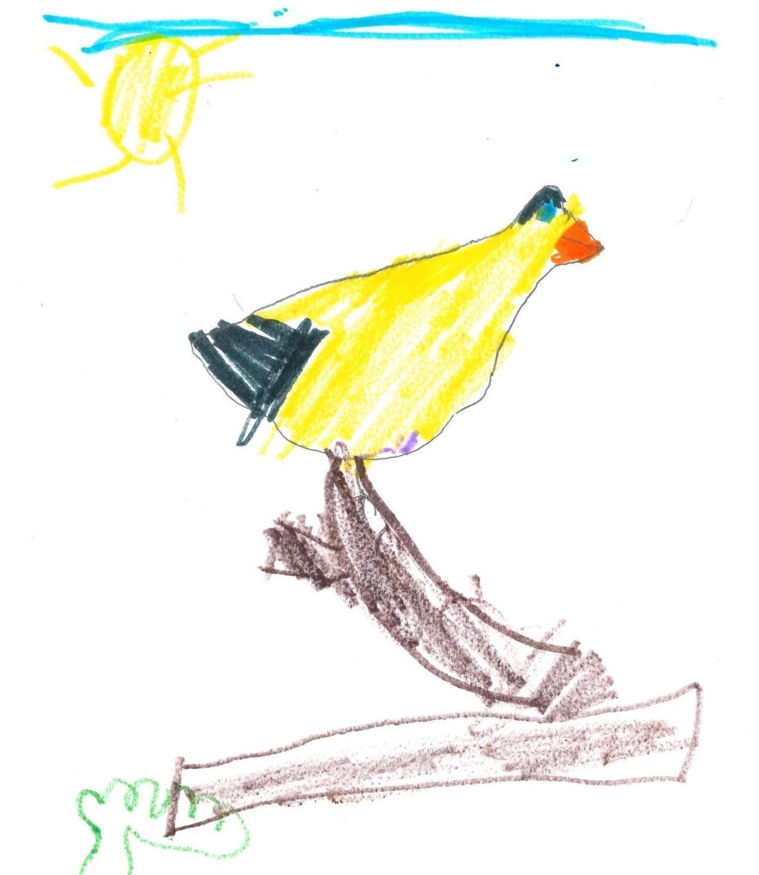 Jed, Kindergarten